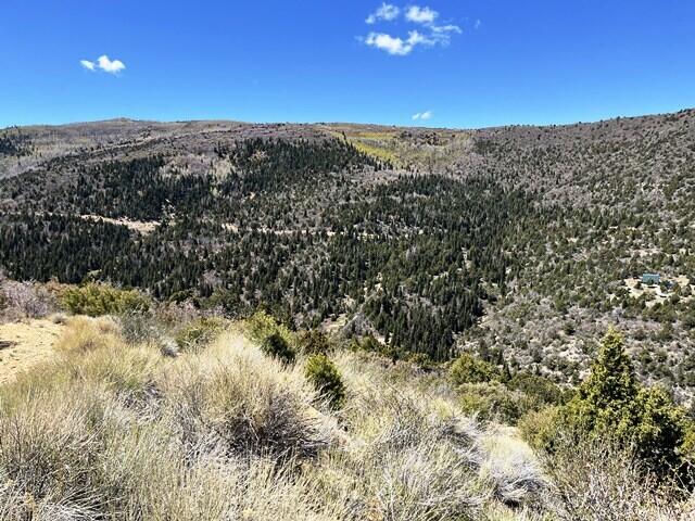 Lot 78 Nob Hill RD, Braffits Creek, Summit, photo 2