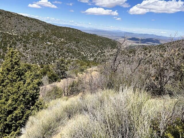 Lot 78 Nob Hill RD, Braffits Creek, Summit, photo 5 of 13