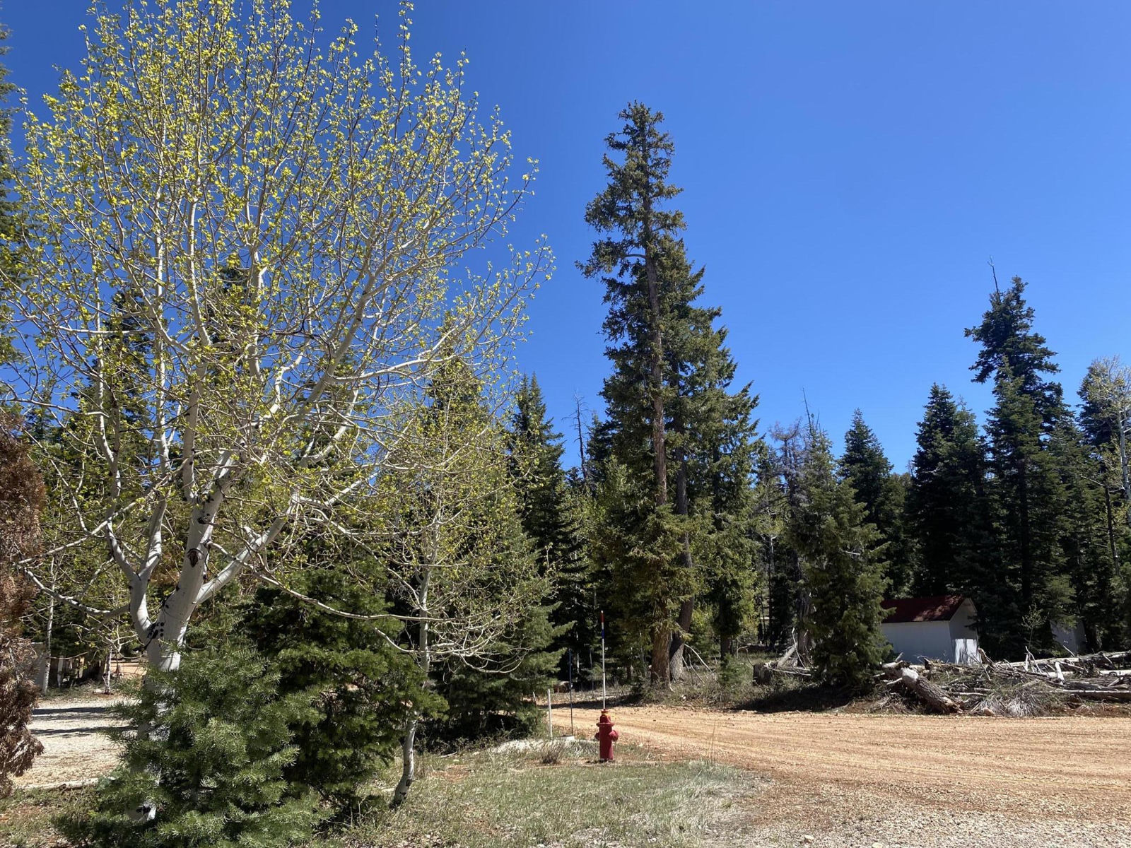 1470 W View DR, Duck Creek Village, photo 4 of 12