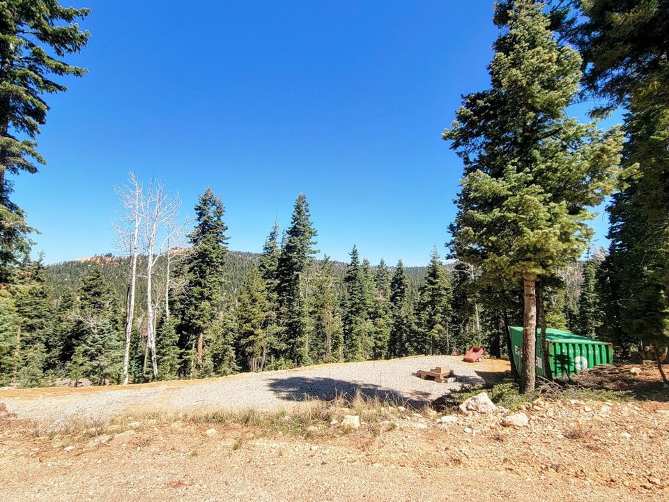 910 W Big Horn CIR, Duck Creek Village, photo 2