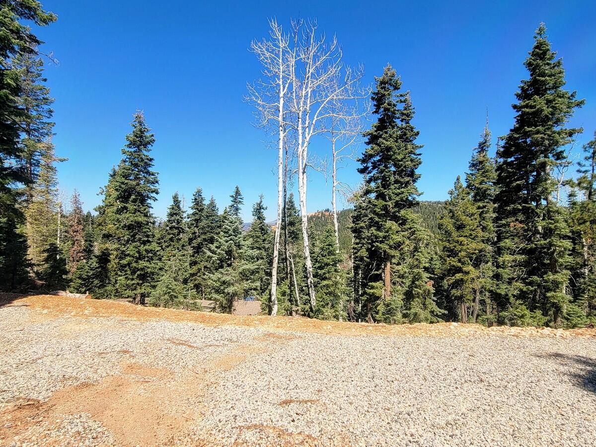 910 W Big Horn CIR, Duck Creek Village, photo 9 of 12