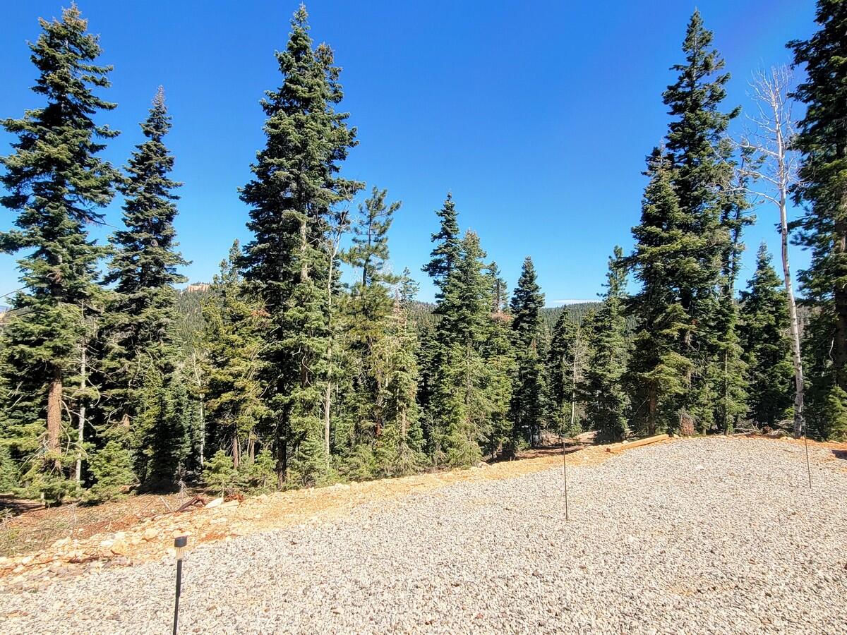 910 W Big Horn CIR, Duck Creek Village, photo 10 of 12