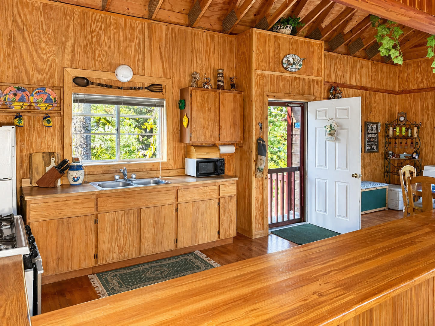 1145 Doe Trail, Duck Creek Village, photo 4 of 18
