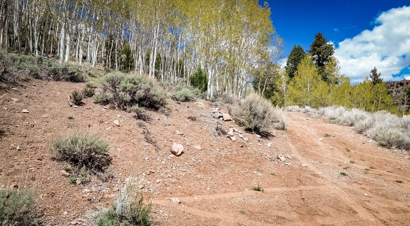 696 N Ipson Creek CIR, Panguitch, photo 9 of 45