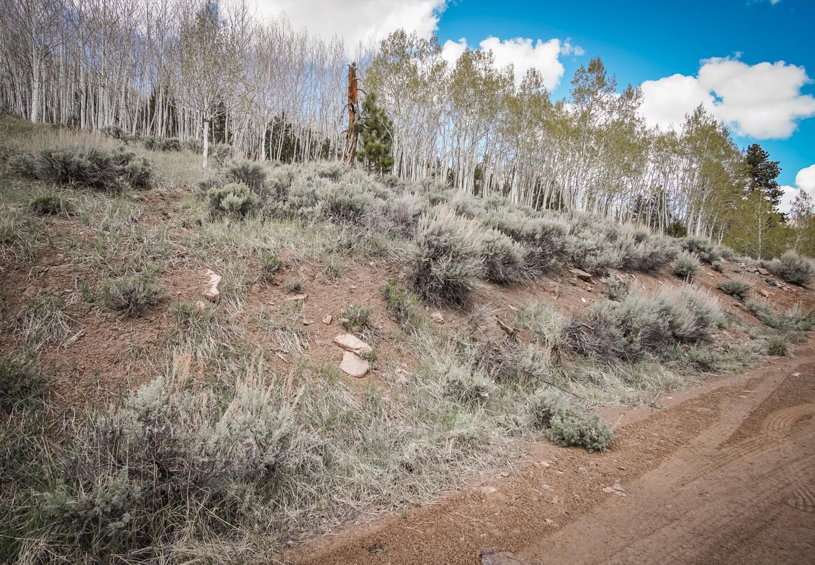 696 N Ipson Creek CIR, Panguitch, photo 10 of 45
