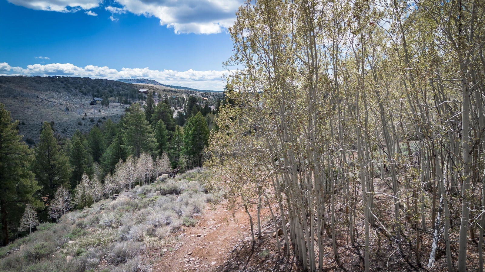 696 N Ipson Creek CIR, Panguitch, photo 14 of 45