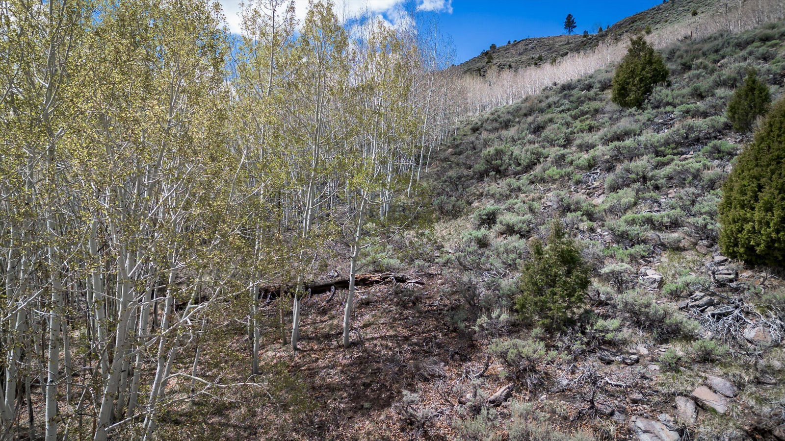 696 N Ipson Creek CIR, Panguitch, photo 15 of 45