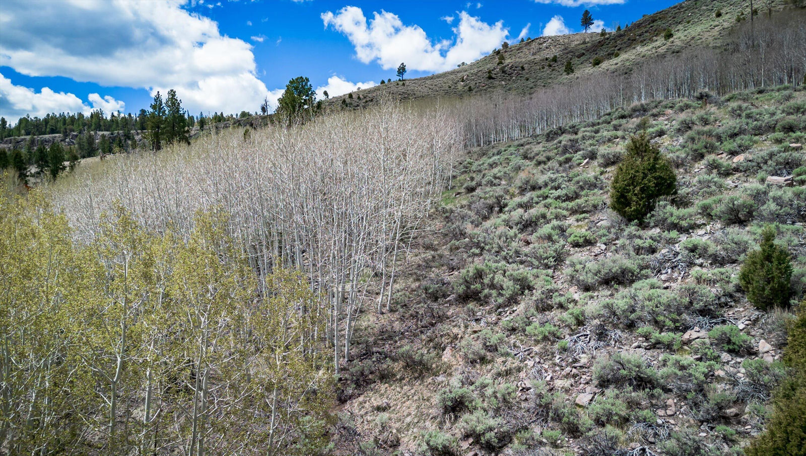 696 N Ipson Creek CIR, Panguitch, photo 19 of 45