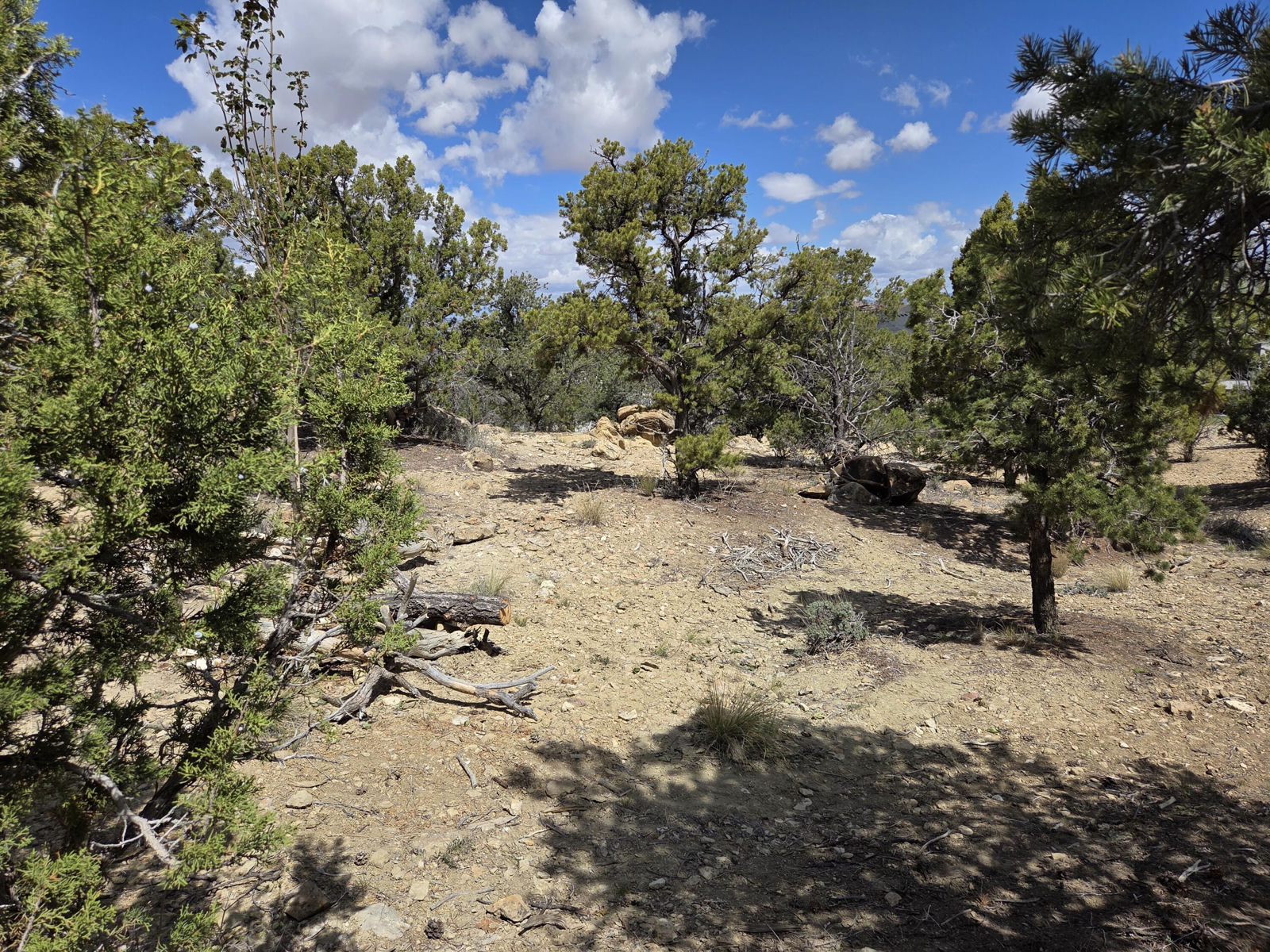 1981 N Mahogany CIR, Cedar City, photo 16 of 22