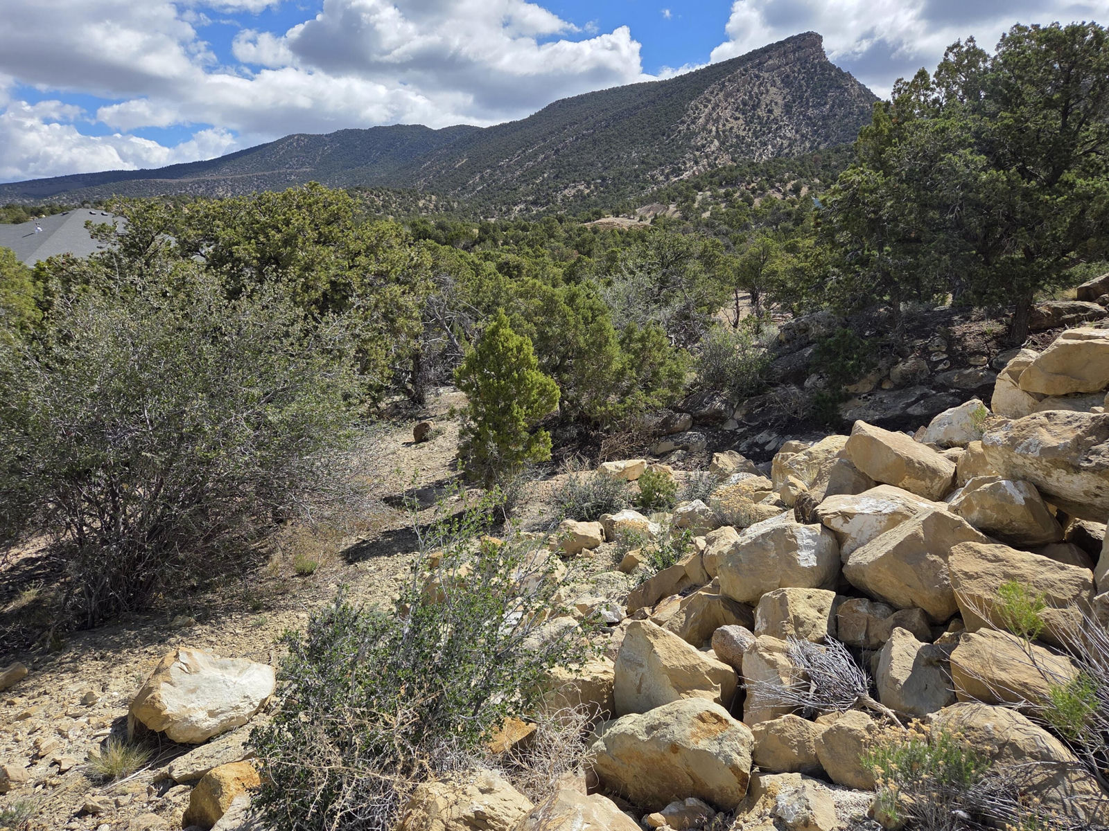 1981 N Mahogany CIR, Cedar City, photo 10 of 22