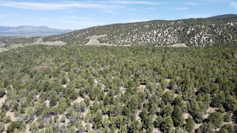 10+ acres The South Fork of North Creek, Beaver, photo 3