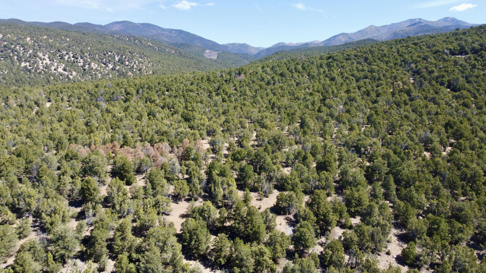 10+ acres The South Fork of North Creek, Beaver, photo 4 of 26