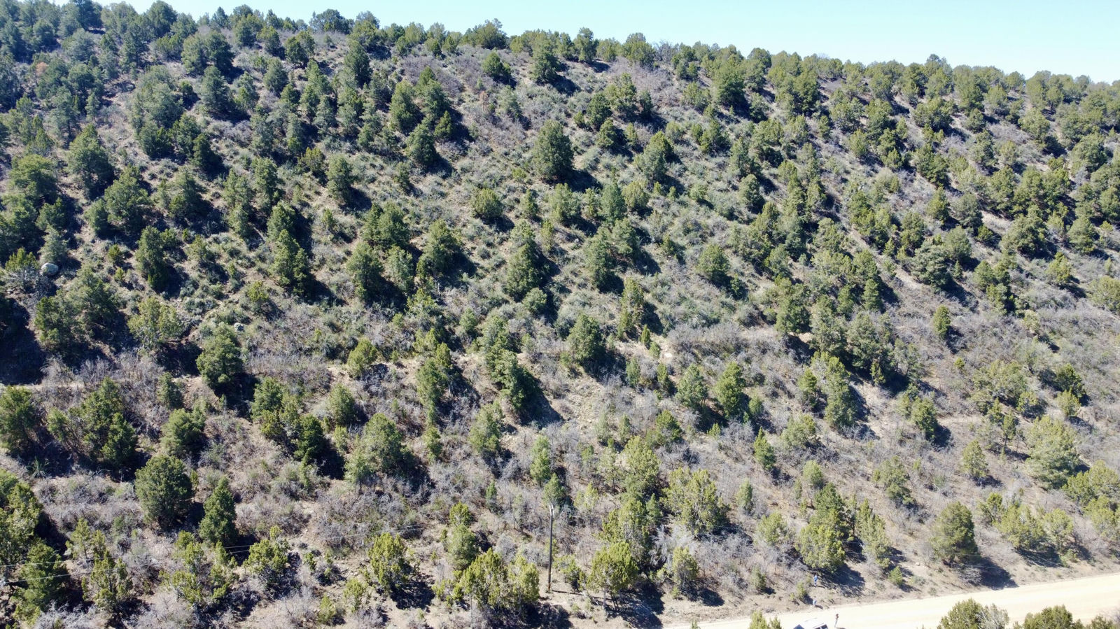 10+ acres The South Fork of North Creek, Beaver, photo 7 of 26