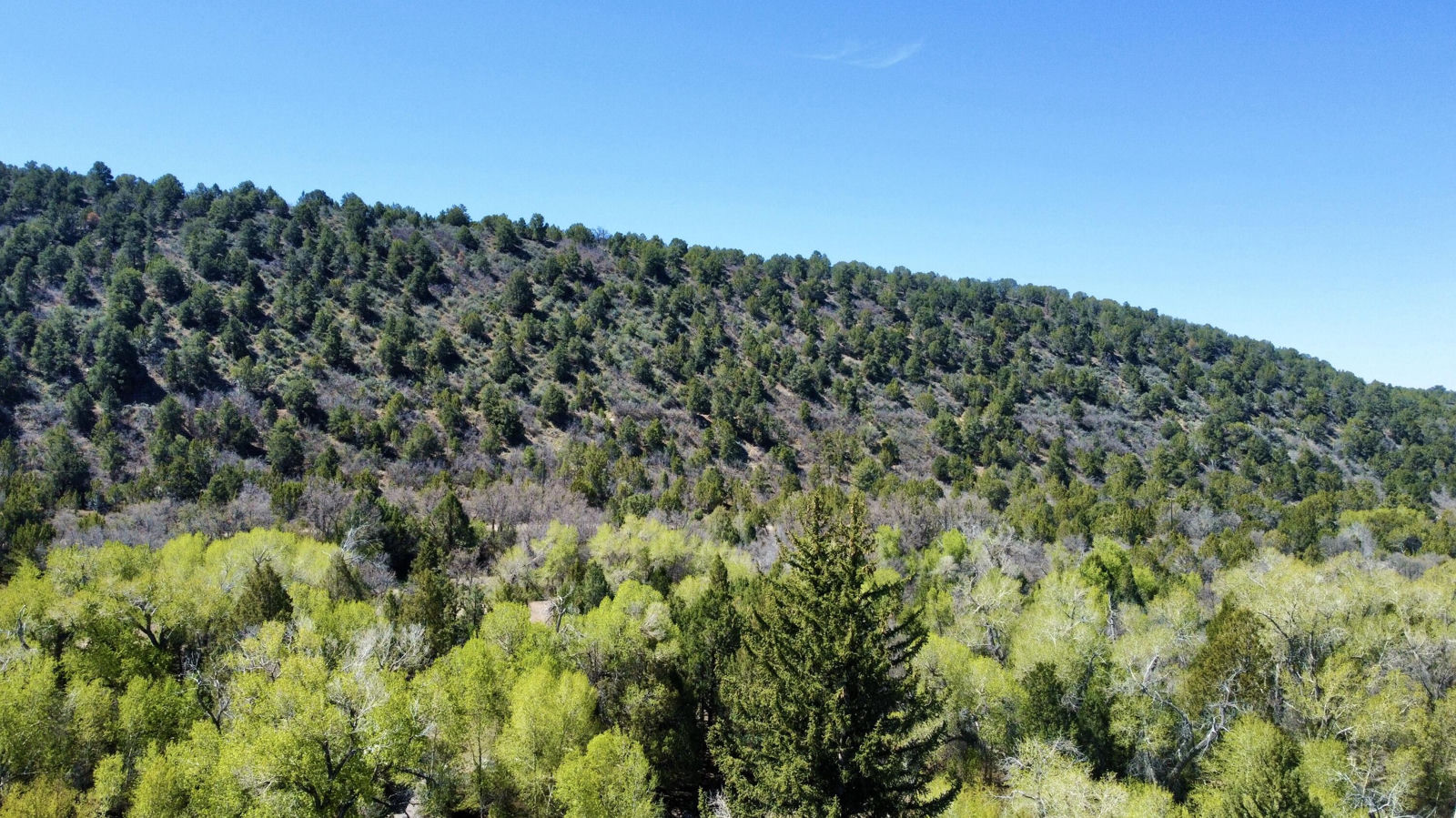 10+ acres The South Fork of North Creek, Beaver, photo 10 of 26