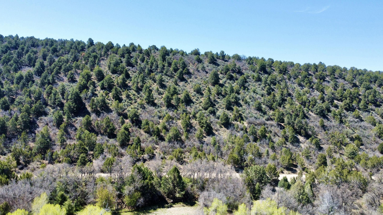 10+ acres The South Fork of North Creek, Beaver, photo 12 of 26
