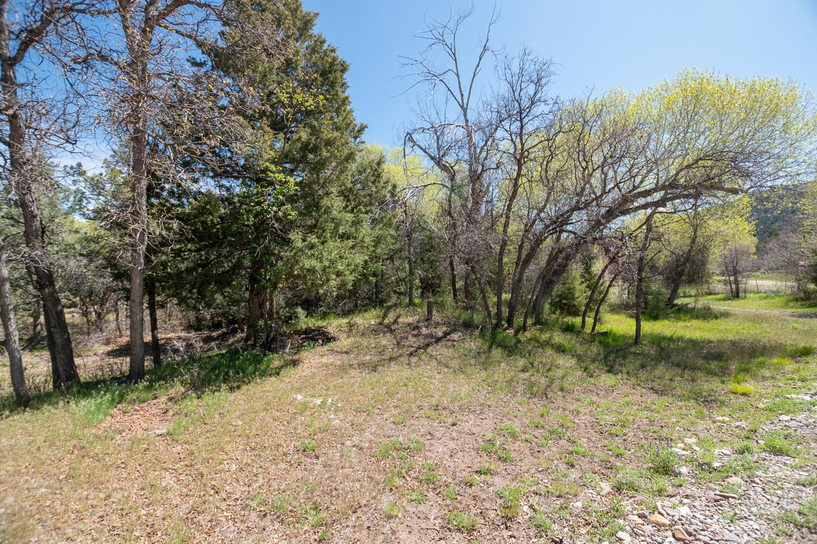 10+ acres The South Fork of North Creek, Beaver, photo 15 of 26