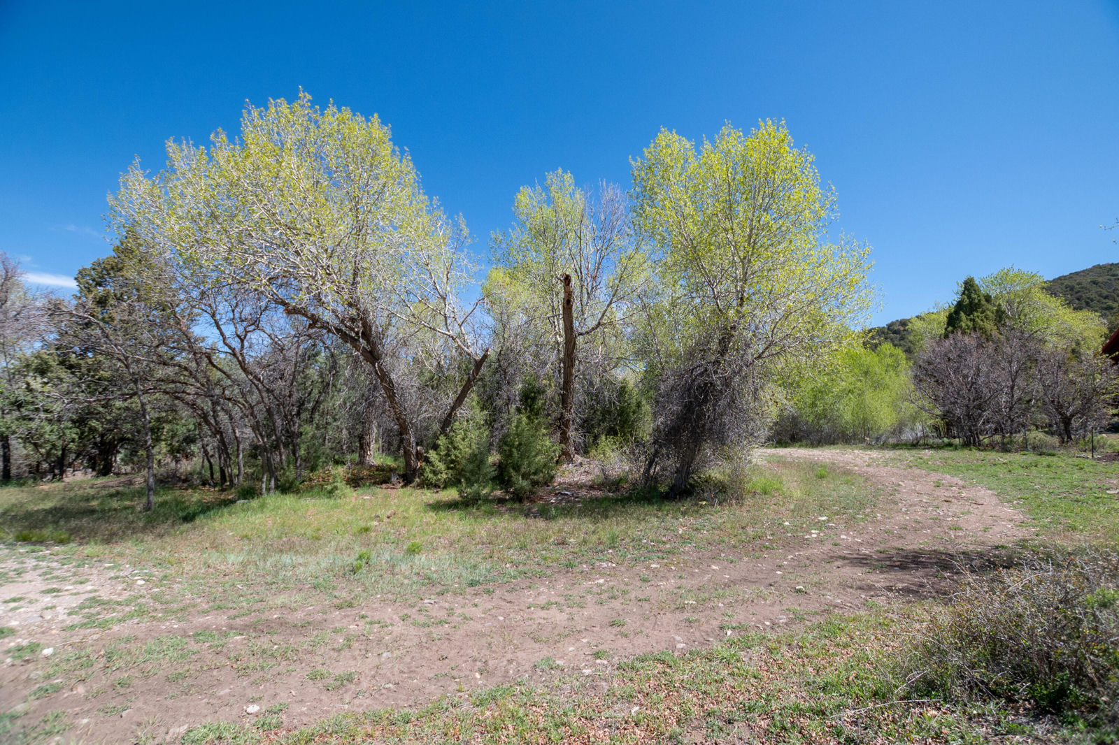 10+ acres The South Fork of North Creek, Beaver, photo 19 of 26