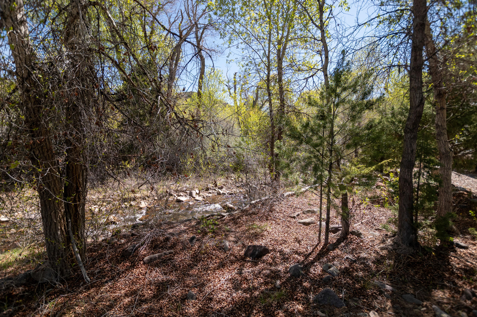 10+ acres The South Fork of North Creek, Beaver, photo 24 of 26