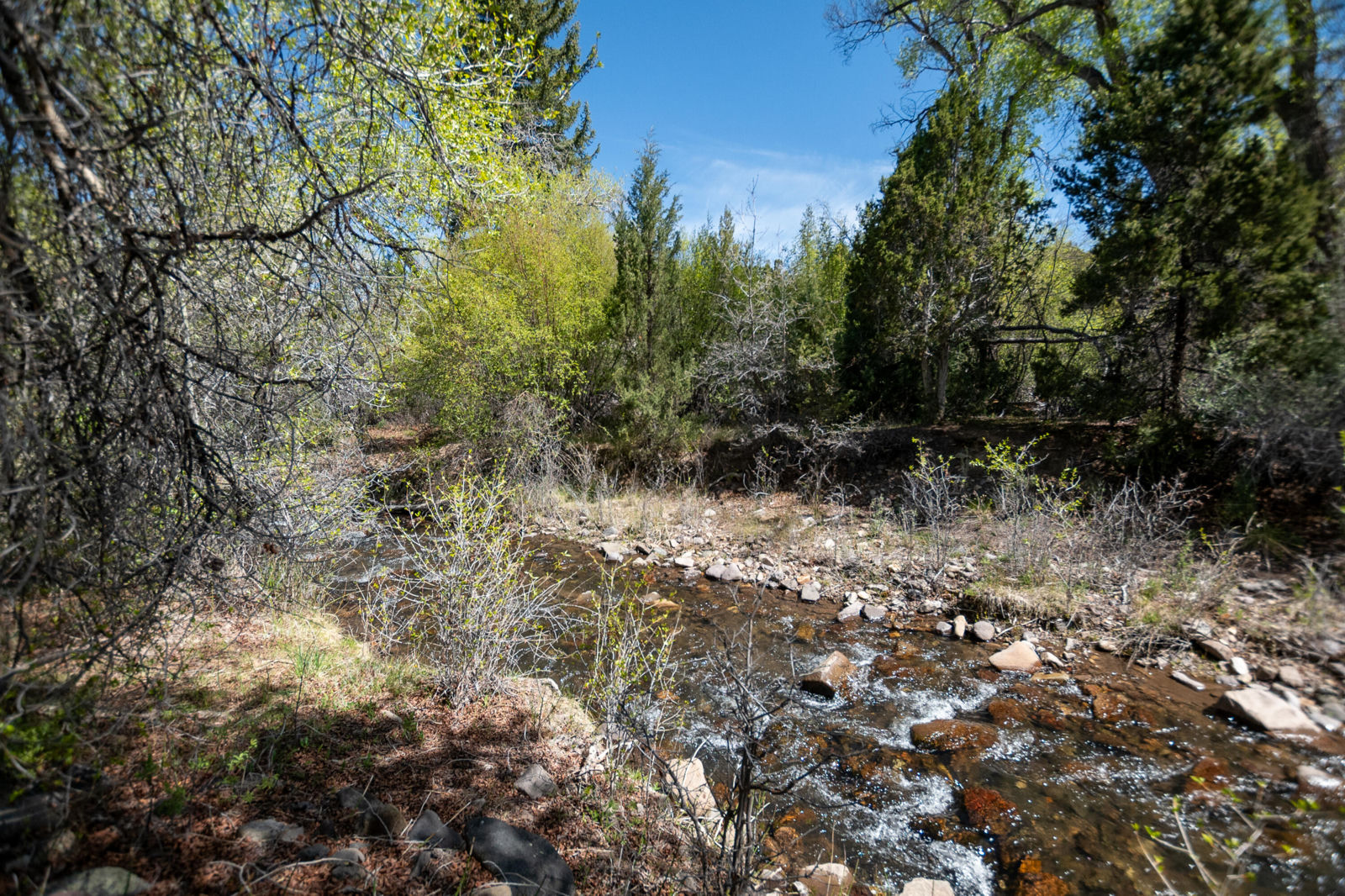 10+ acres The South Fork of North Creek, Beaver, photo 25 of 26