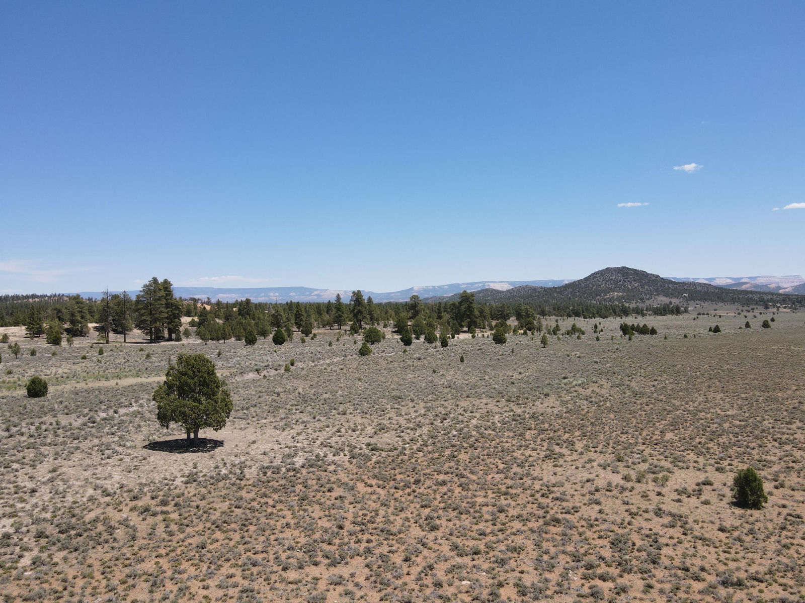 16-0081-0942, -1941, -0940,-37, Bryce Canyon, photo 9 of 10