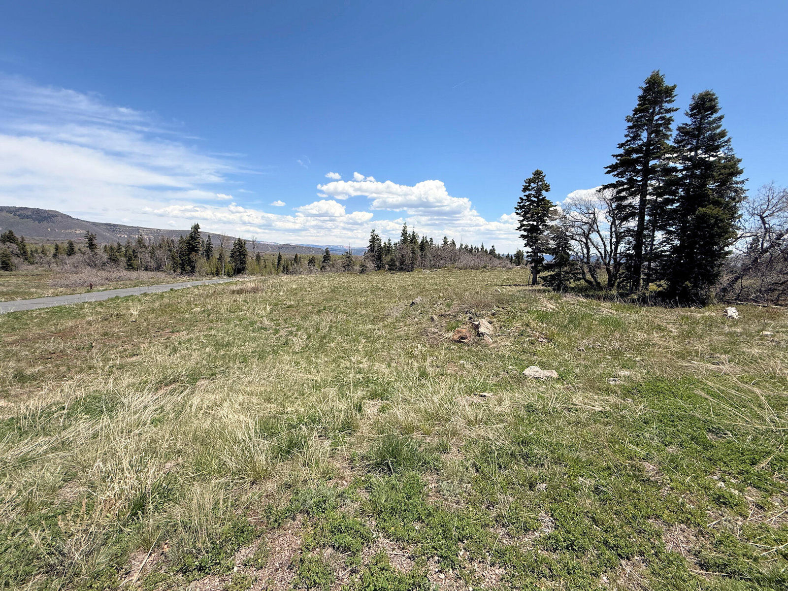403 W Blue Spruce DR, Virgin, photo 9 of 13