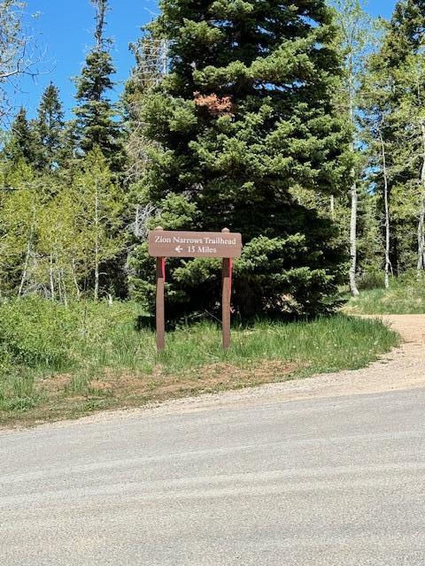 2008 W Brown Bear Road, Duck Creek Village, photo 16 of 18