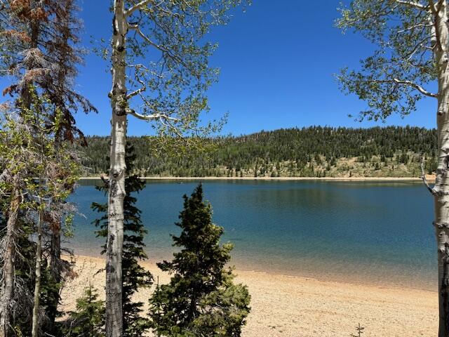 2008 W Brown Bear Road, Duck Creek Village, photo 17 of 18