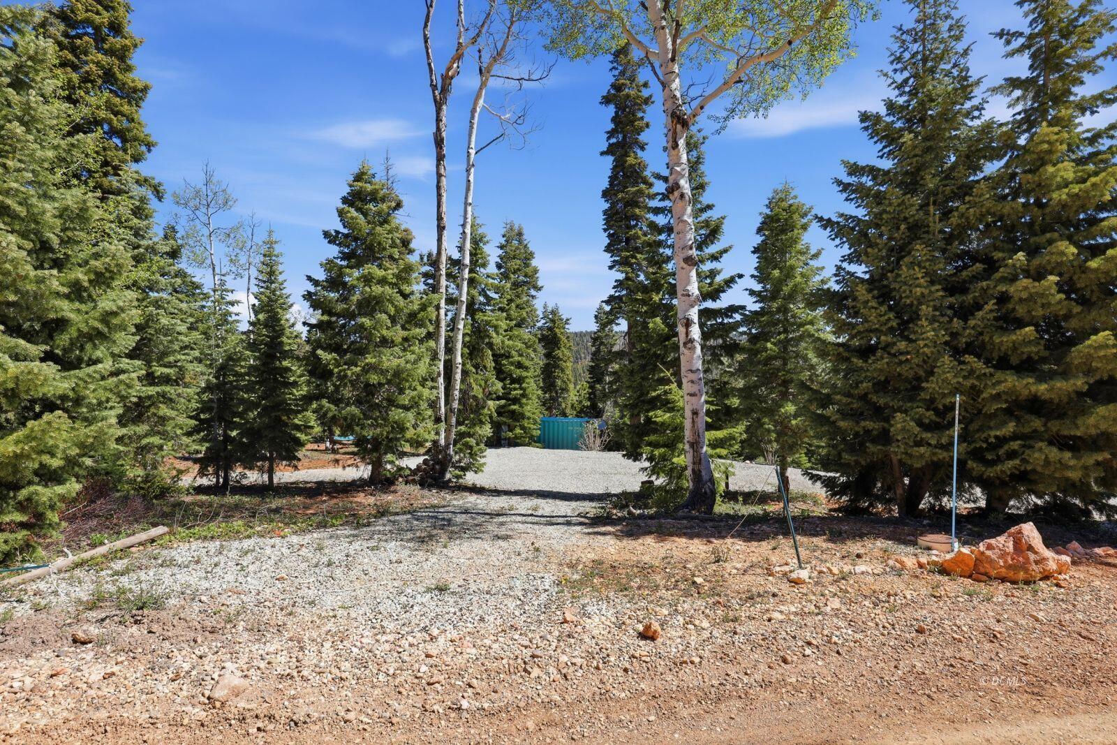 1040 W Big Horn CIR, Duck Creek Village, photo 7 of 12