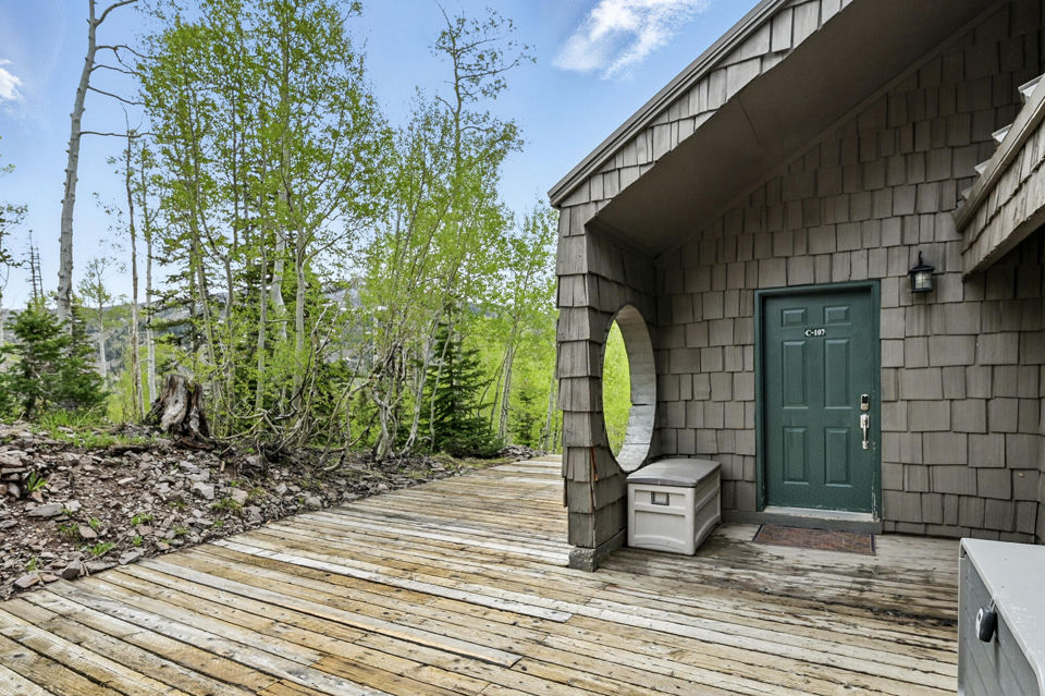 286 W Eagles Roost ST, #C-107, Brian Head, photo 2