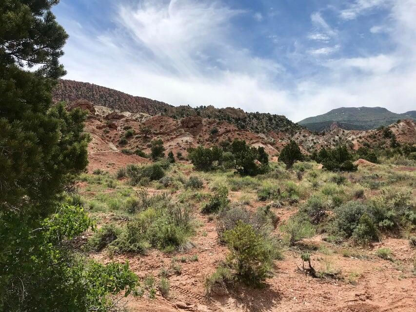 91.83 Acres | Rainbow Canyon, Cedar City, photo 17 of 17