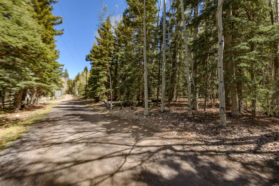 Spruce RD, #36, Panguitch Lake, photo 2