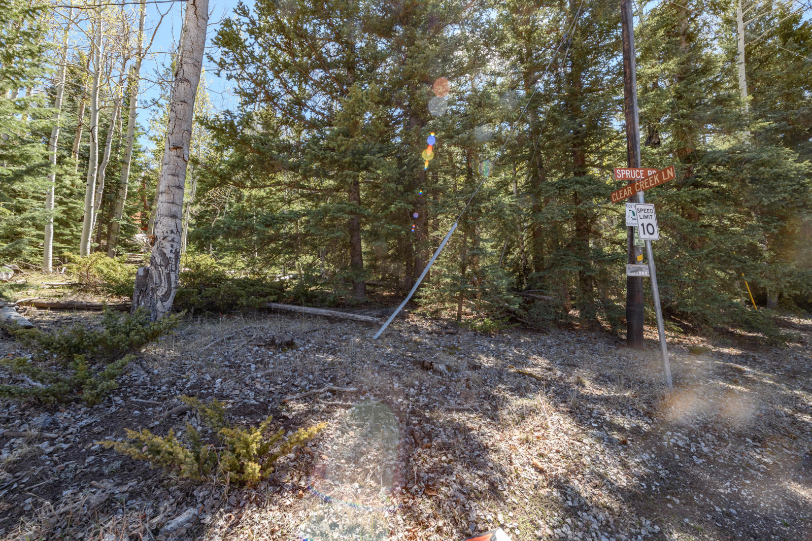 Spruce RD, #36, Panguitch Lake, photo 4 of 17