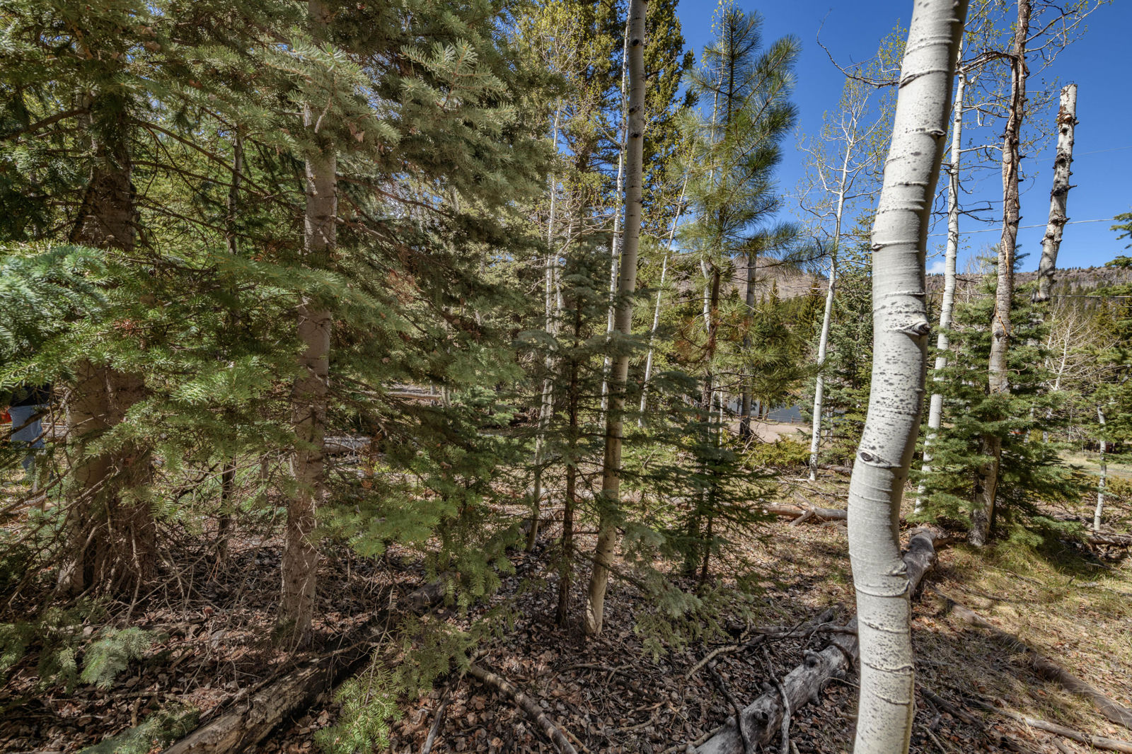 Spruce RD, #36, Panguitch Lake, photo 5 of 17