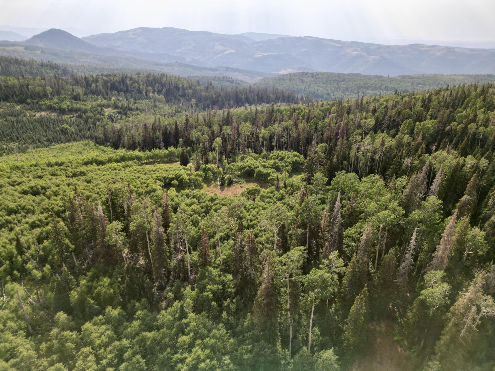 1.76 Acres Metes and Bounds, Brian Head, photo 6 of 12
