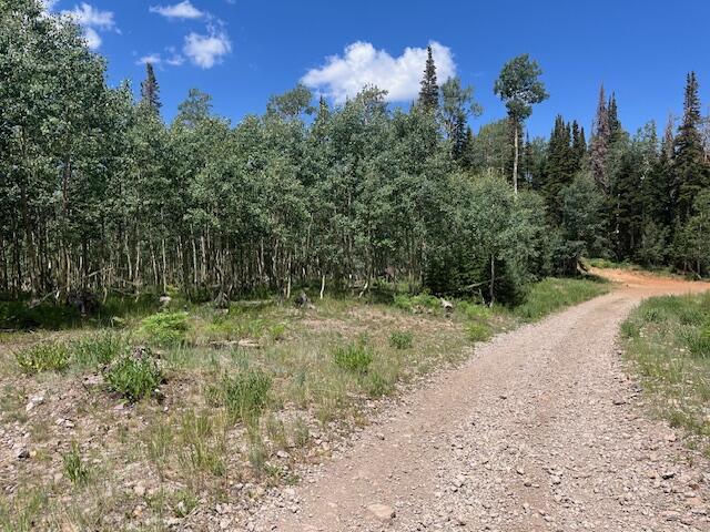 1.76 Acres Metes and Bounds, Brian Head, photo 8 of 12