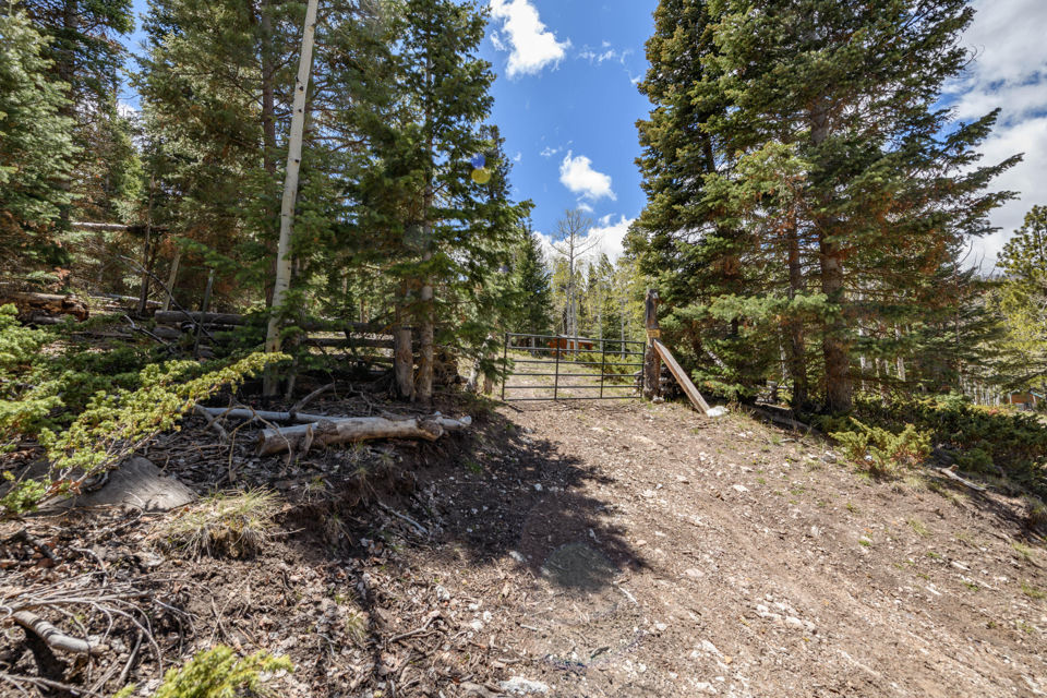Clear Creek Estates Lot 13, Panguitch Lake, photo 3