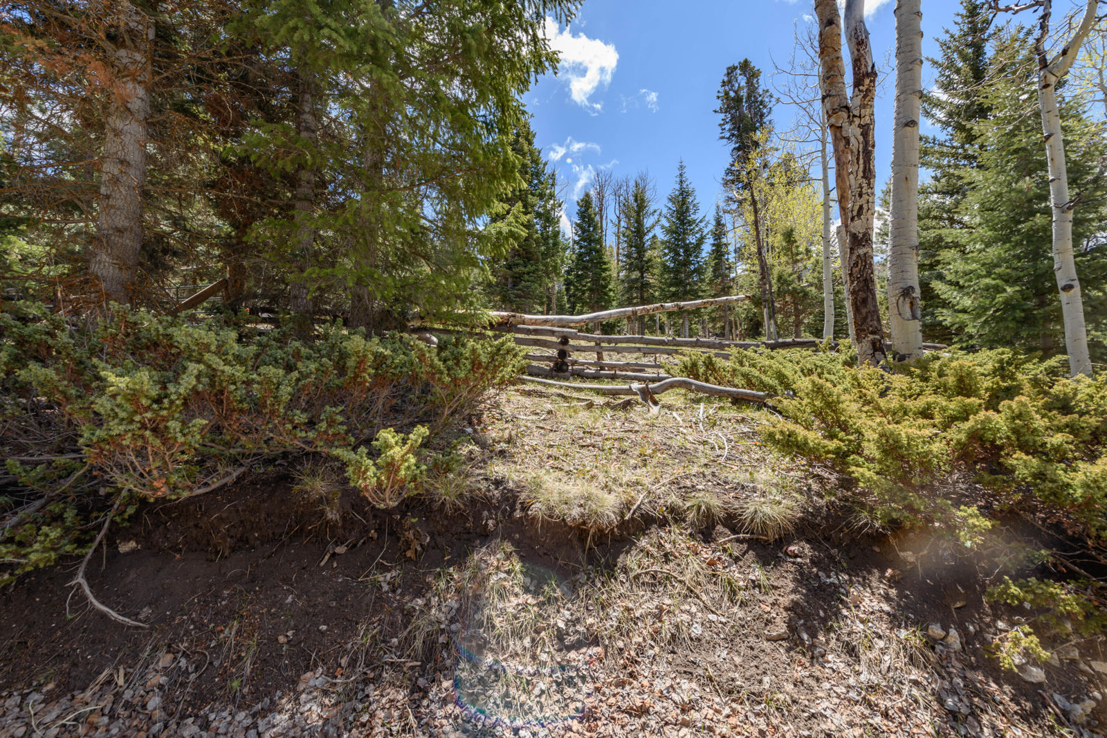 Clear Creek Estates Lot 13, Panguitch Lake, photo 4 of 11