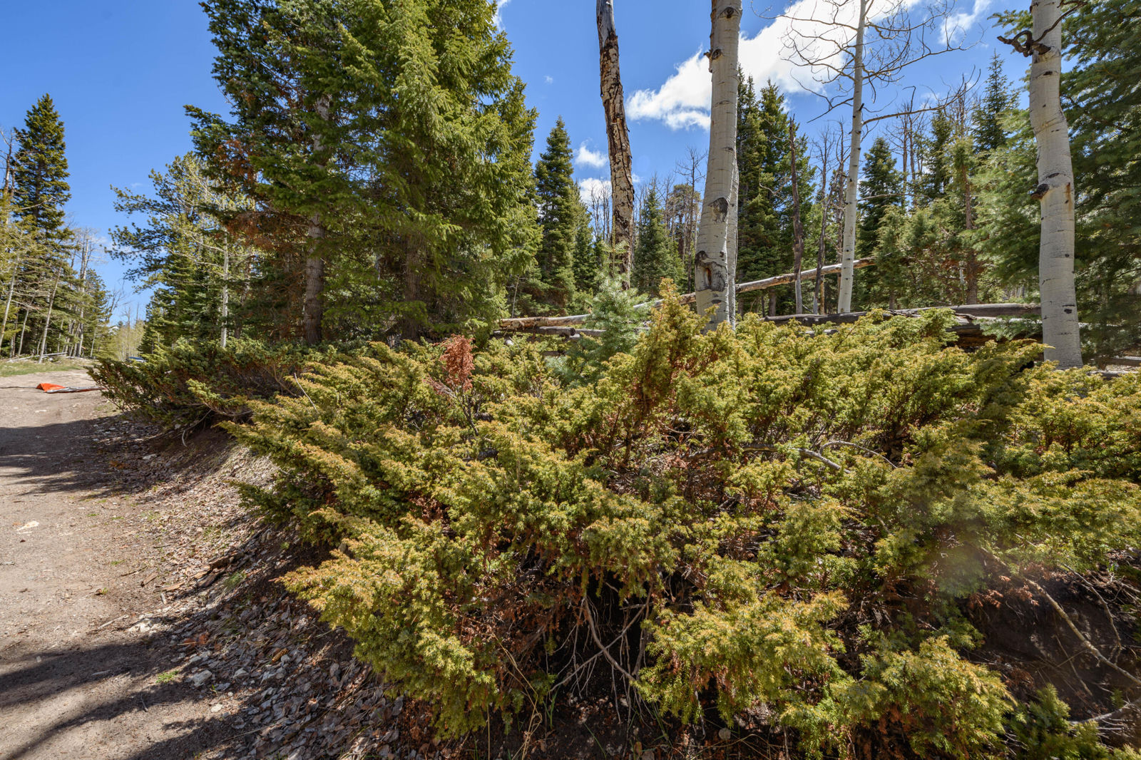 Clear Creek Estates Lot 13, Panguitch Lake, photo 5 of 11