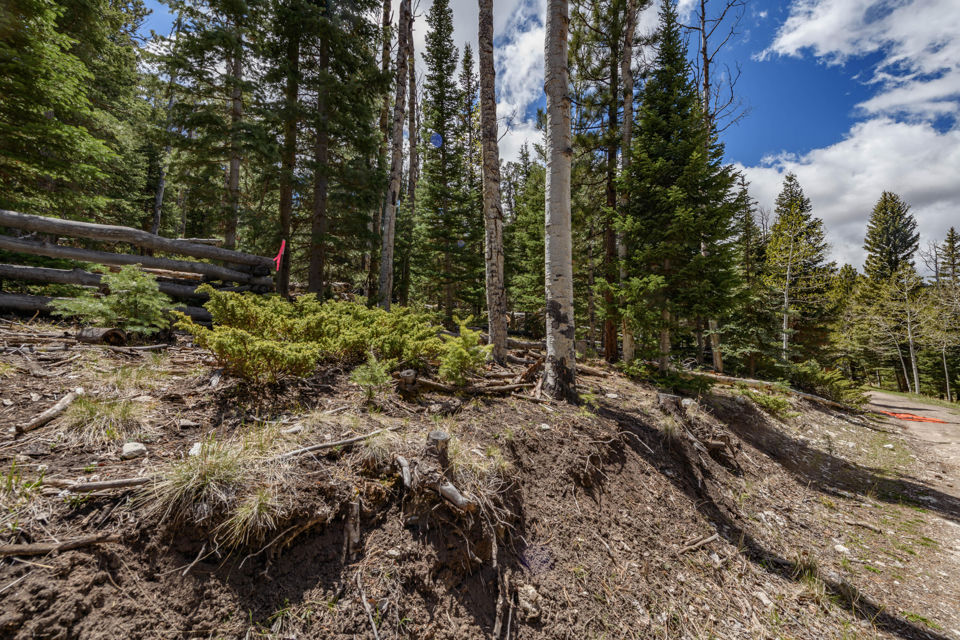 Clear Creek Estates Lot 14, Panguitch Lake, photo 3