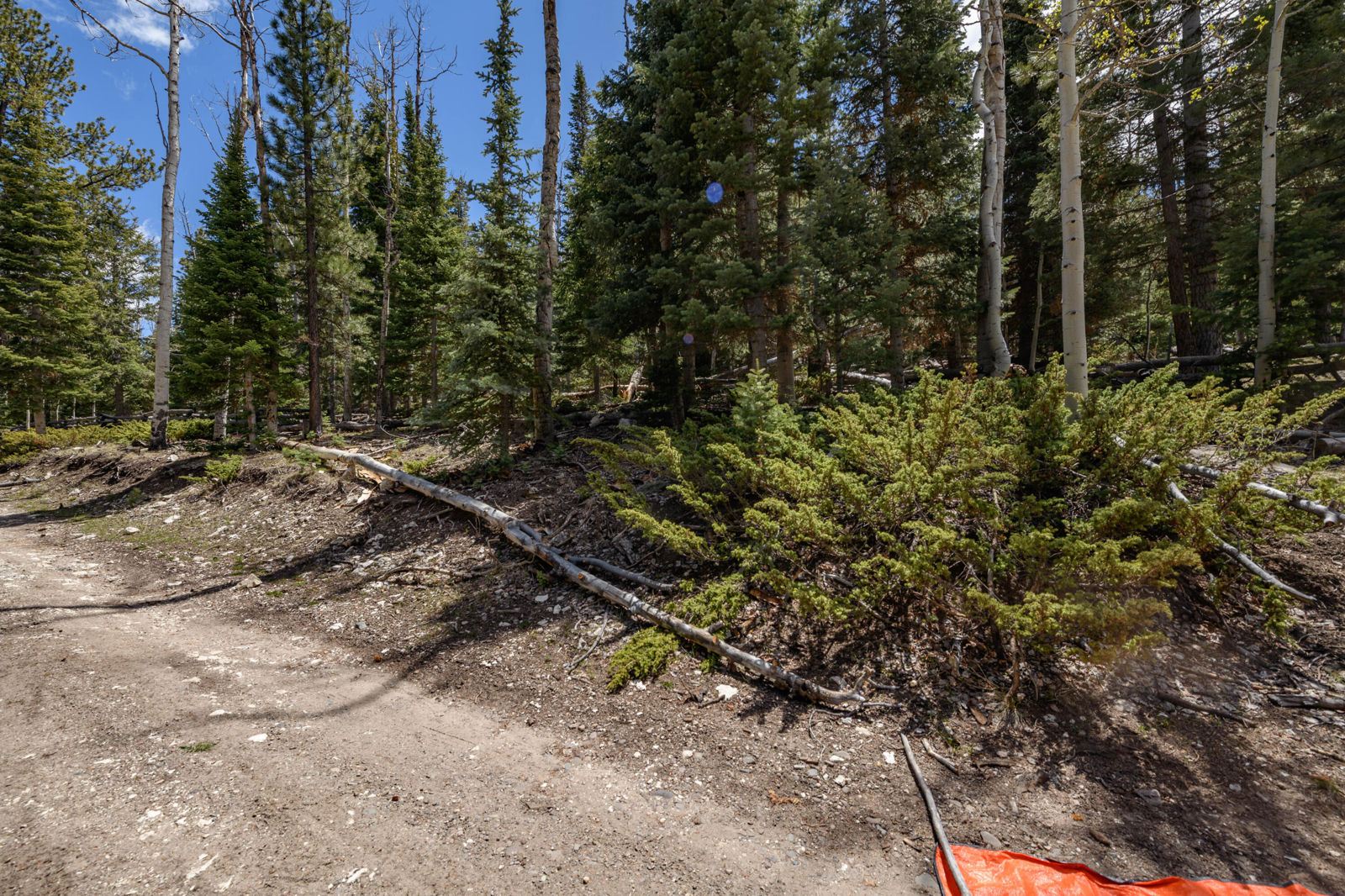 Clear Creek Estates Lot 14, Panguitch Lake, photo 5 of 14