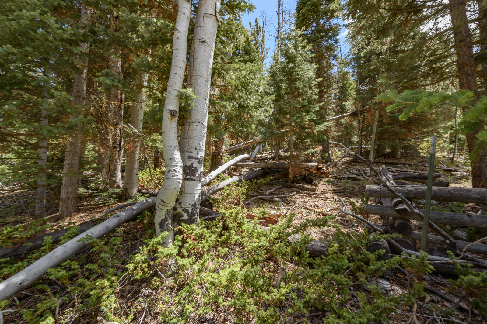 Clear Creek Estates Lot 14, Panguitch Lake, photo 6 of 14