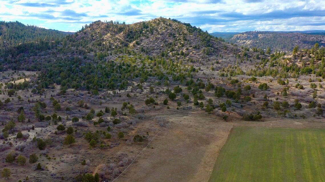 10.09 Acres, Alton, photo 7 of 30