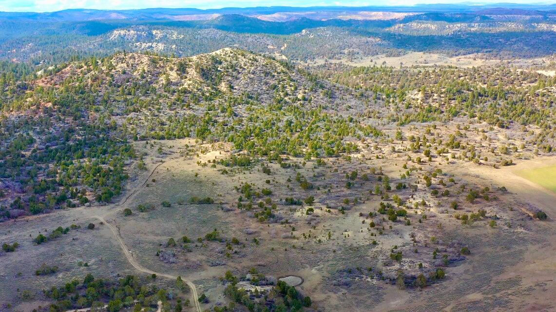 10.09 Acres, Alton, photo 12 of 30