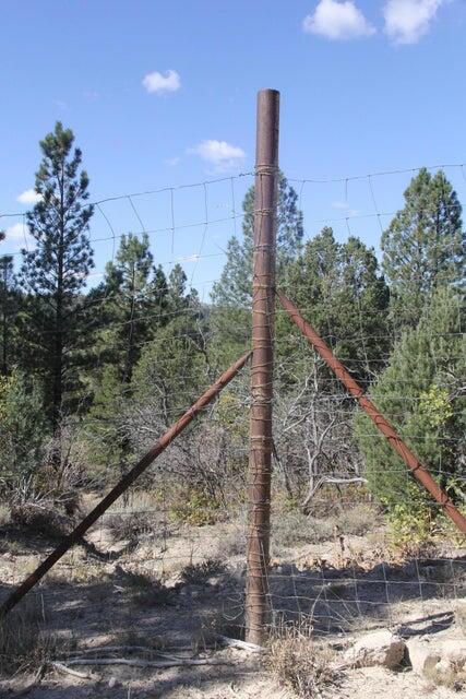 10.09 Acres, Alton, photo 13 of 30