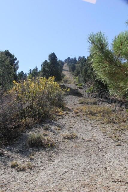 10.09 Acres, Alton, photo 14 of 30