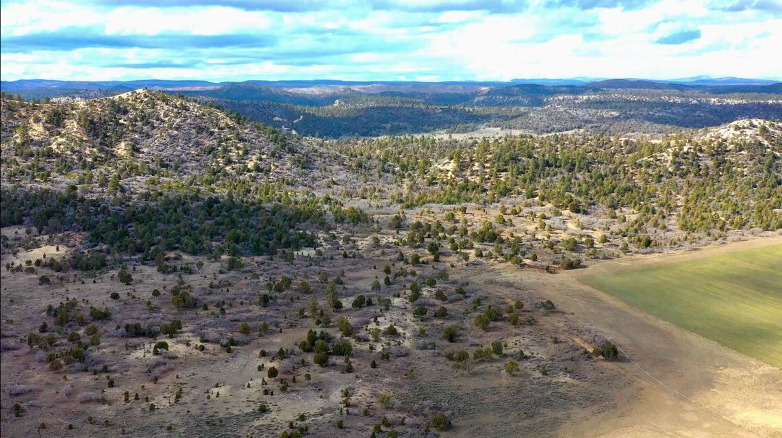 10.09 Acres, Alton, photo 19 of 30