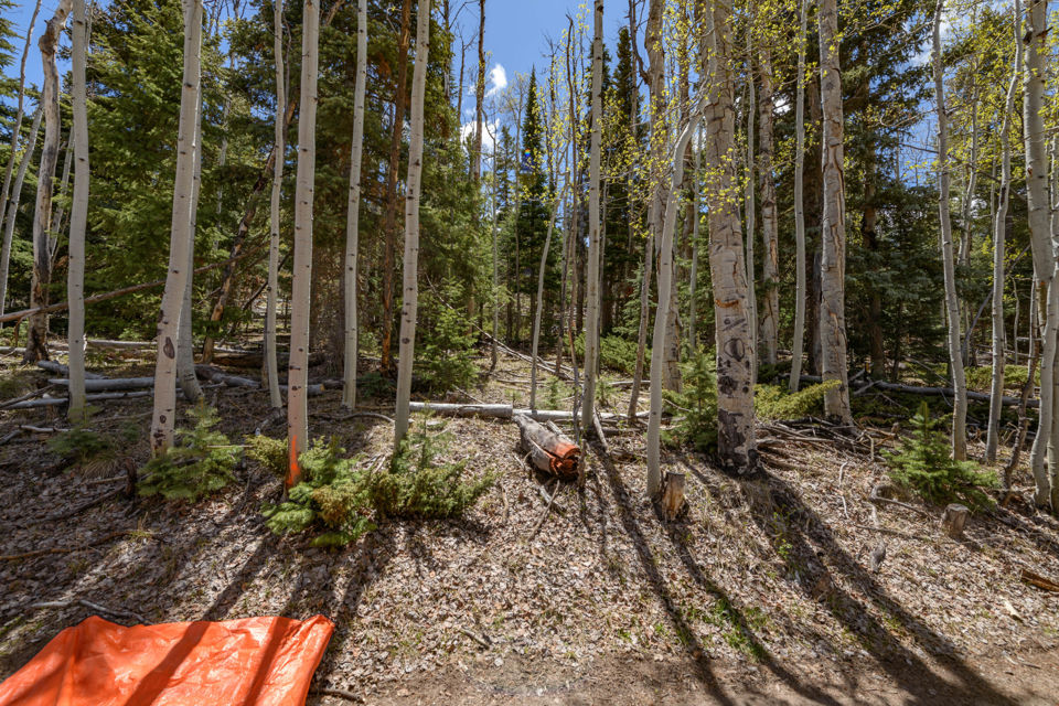 Quakie LN, #17, Panguitch Lake, photo 2