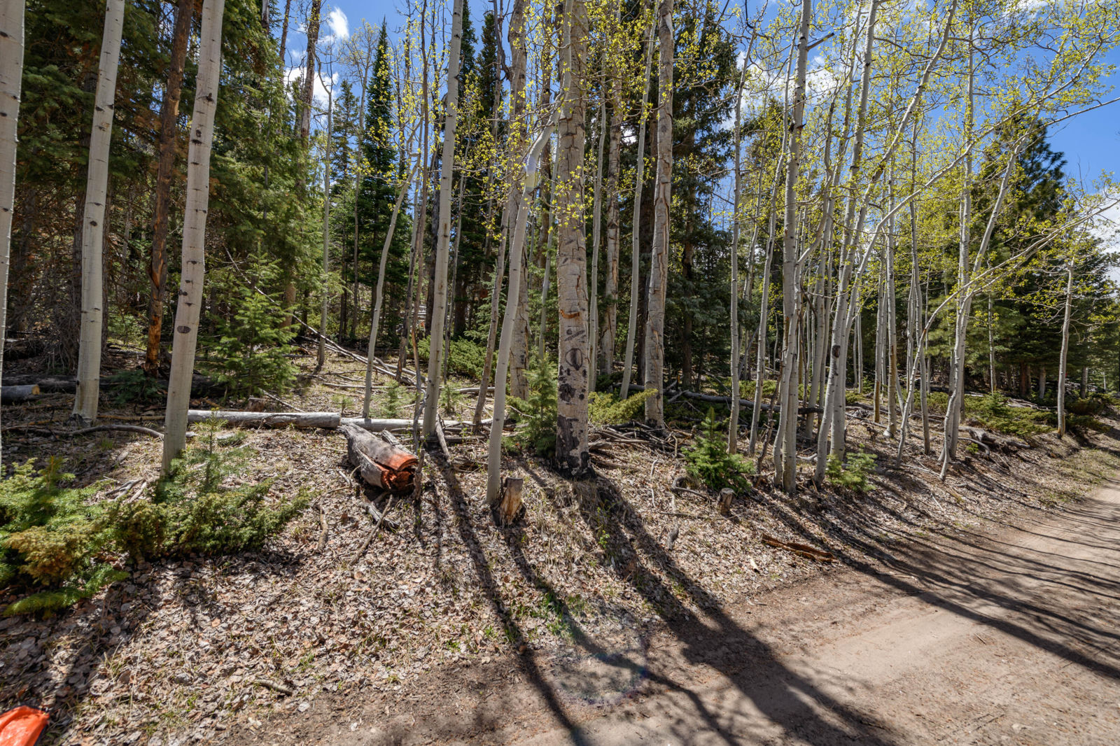 Quakie LN, #17, Panguitch Lake, photo 3 of 18