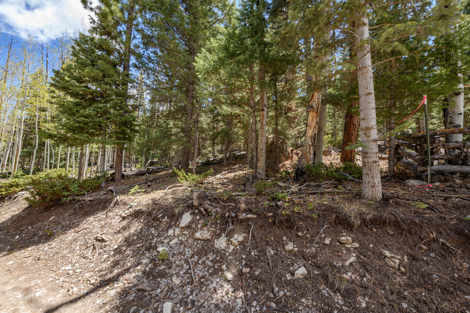 Quakie LN, #17, Panguitch Lake, photo 5 of 18