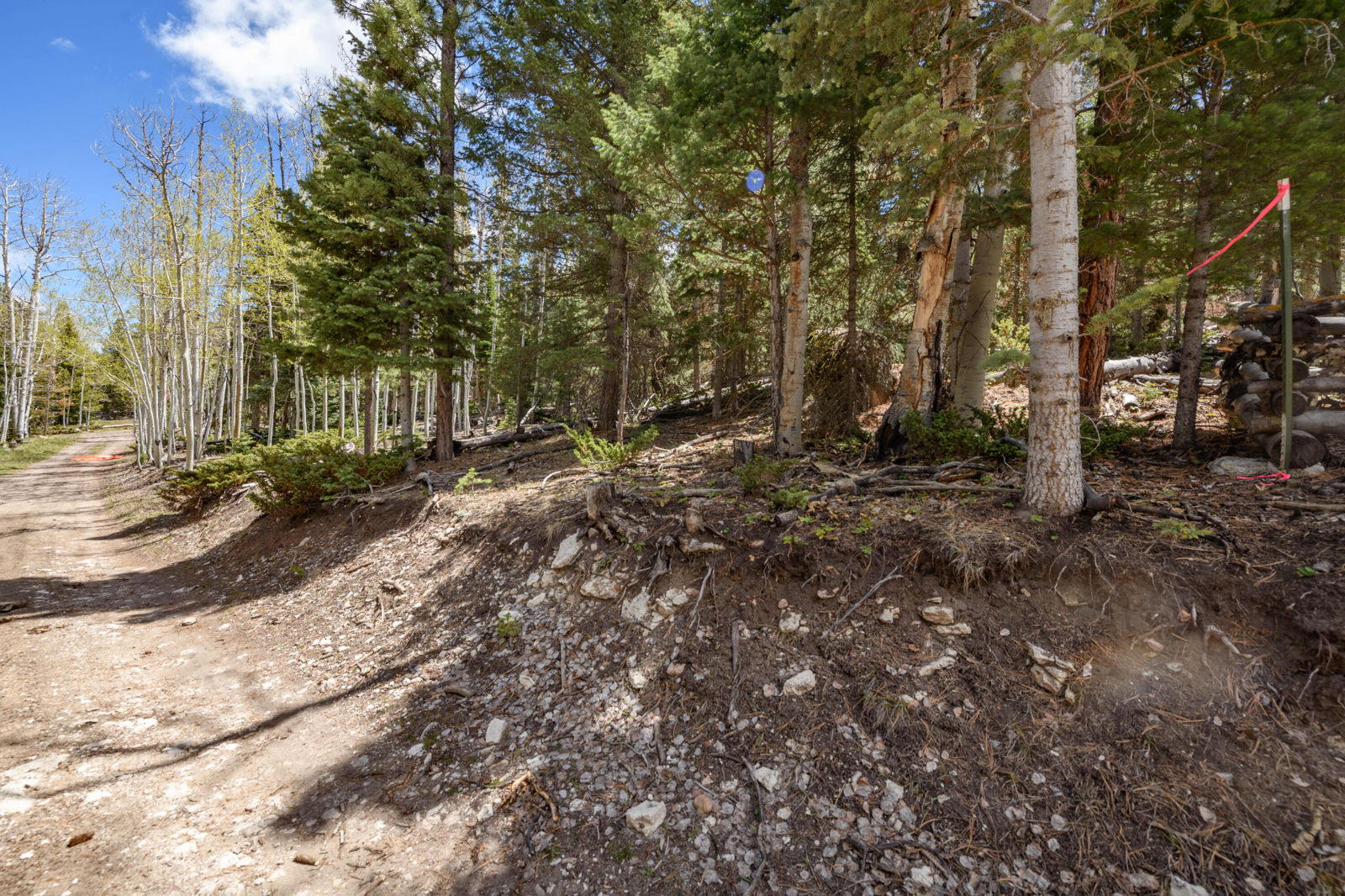 Quakie LN, #17, Panguitch Lake, photo 6 of 18